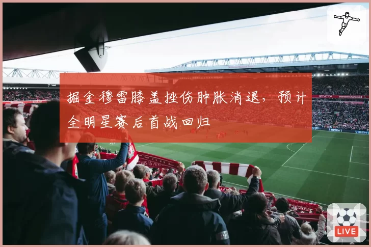 掘金穆雷膝盖挫伤肿胀消退,预计全明星赛后首战回归