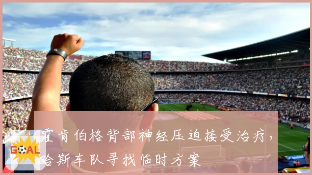 霍肯伯格背部神经压迫接受治疗,哈斯车队寻找临时方案