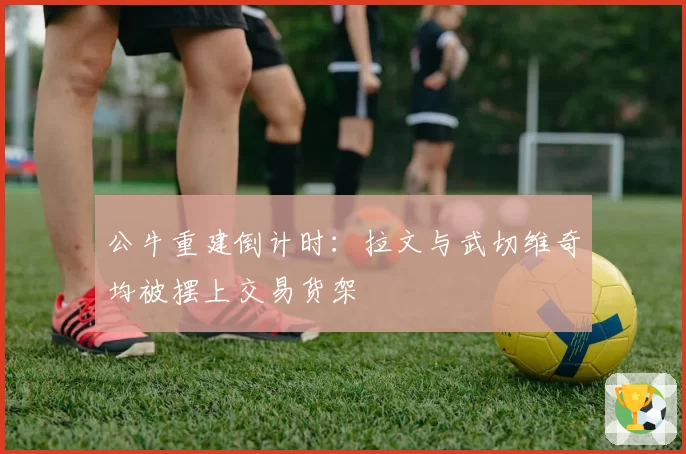 公牛重建倒计时:拉文与武切维奇均被摆上交易货架
